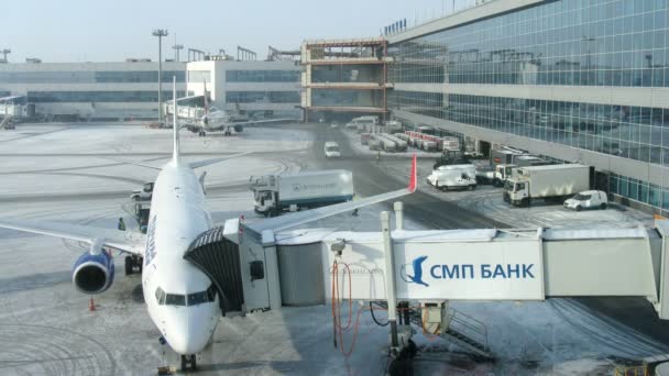 Plano se encuentra en territorio cerca de la terminal del aeropuerto de Domodedovo — Vídeo de stock