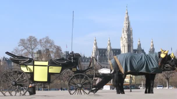 Koňmi tažený kočár stojí na ulici před rathaus — Stock video