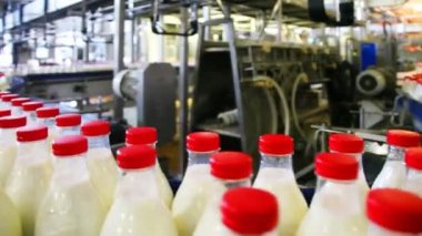 birçok şişe süt fabrikasında geniş Konveyör bant taşıma