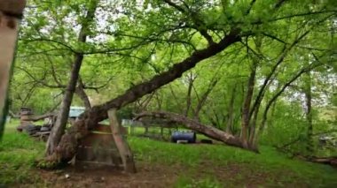 Paintball bahçesi ile eski kamyon ve farklı nesneler