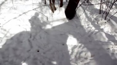 horsman gölgesi kar üzerinde hareket eder.