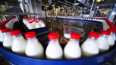 birçok şişe süt taşıma konveyör fabrikasında satırındaki