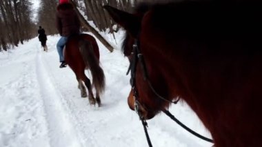 kadın kış gününde ormanda ata binmek