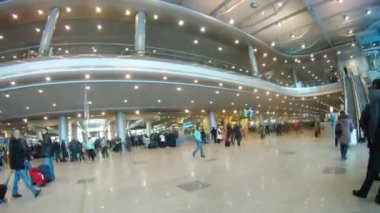 yolcu Bagaj ile domodedovo Havaalanı terminal üzerinde git.