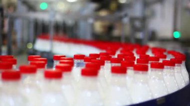 Many bottles of milk move conveyor and go to defocusing