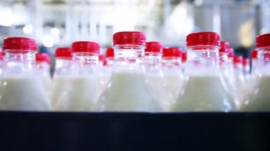 satır Fabrikası'nda süt ve kırmızı kapakları plastik şişe