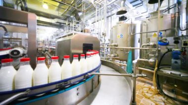 Kırmızı kapakları çok şişe süt taşıma konveyör fabrikasında satırındaki