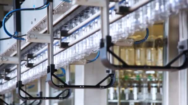 Row of empty plastic bottles move at factory, behind in blur rotates device to fill their milk — Stock Video