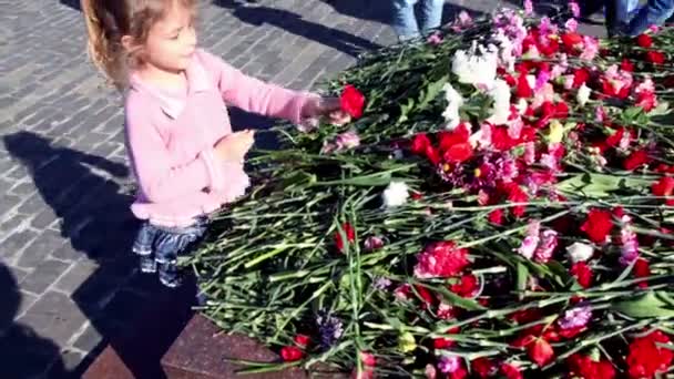 Liten flicka gå och lägga blommor på solig dag — Stockvideo