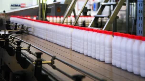 Botellas de yogur con tapas rojas mueven banda transportadora ancha en la fábrica — Vídeos de Stock