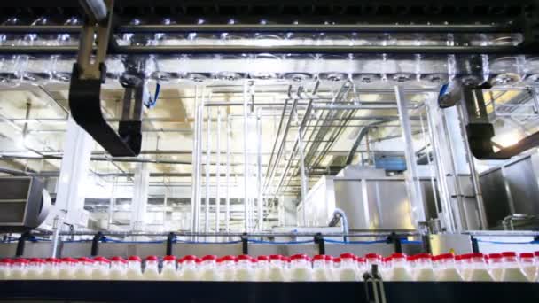 Frascos de plástico de fileira inferior com leite e topo de movimento vazio na fábrica — Vídeo de Stock