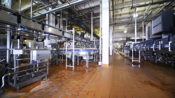 Garrafas de leite se movem em transportador na fábrica de Wimm-Bill-Dann — Vídeo de Stock