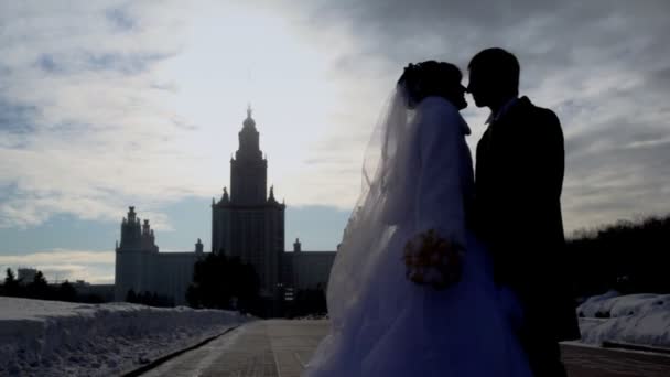 Couple nouvellement marié se tient sur l'avenue en hiver — Video