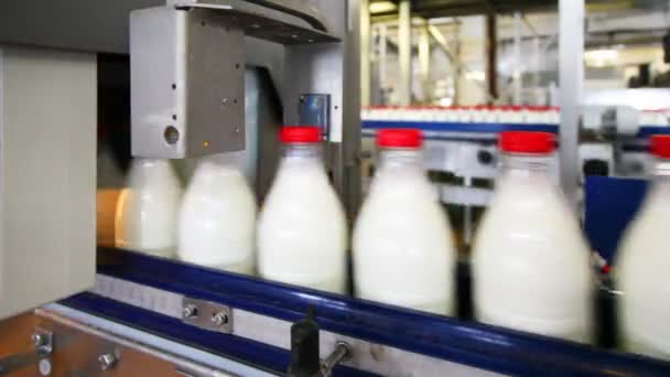 Verificación de tapas de luz en botellas con leche en fábrica — Vídeos de Stock