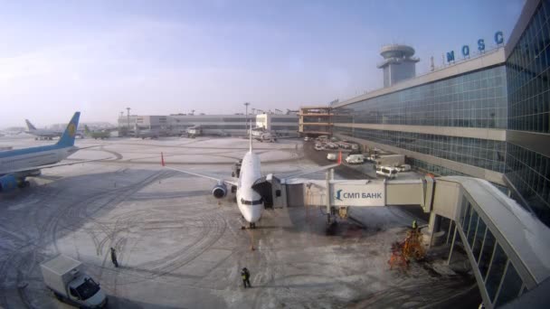 Plane stands in territory near the terminal of Domodedovo airport — Stock Video