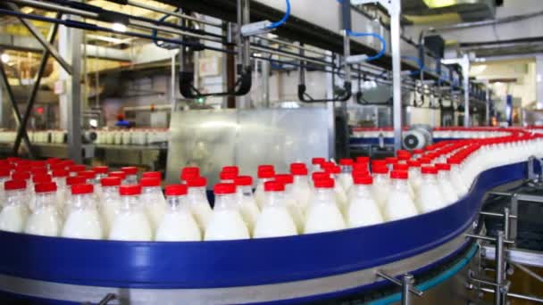 Convoyeur dans l'usine de lait, au-dessus des bouteilles en plastique vides se déplacent — Video