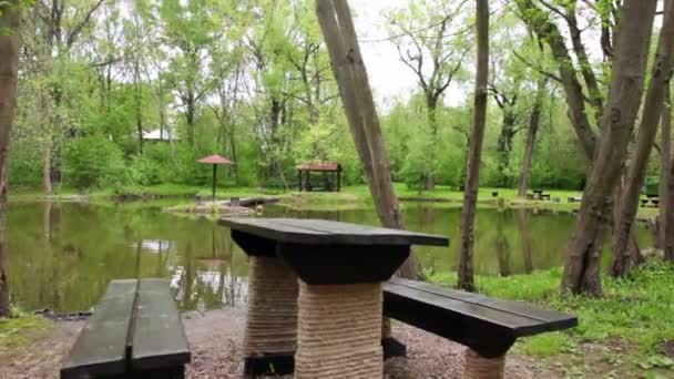 Table and benches ashore of small pond at summer — Stock Video