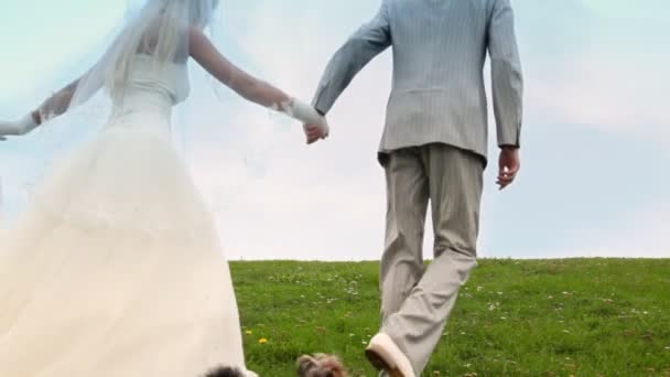 Recién casados pareja va en hierba y cerca perrito corre — Vídeo de stock