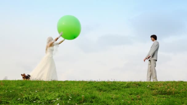 Novomanželé vyvolá velké koule a teriér okolí běhy — Stock video
