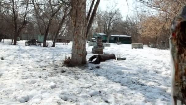 Paintball játszótér régi teherautó és különböző tárgyak — Stock videók