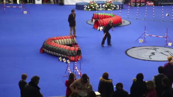 Woman lead her dog during agility at International Dog Show Eurasia 2011 — Stock Video