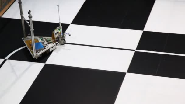 Robot toy car moves along line drawn on large chessboard — Stock Video