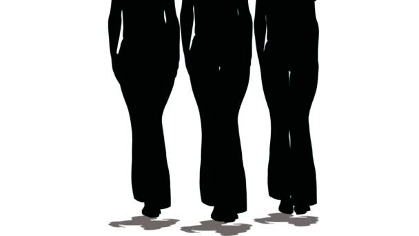 Silhouettes of three women-models of black colors go on white background — Stock Video