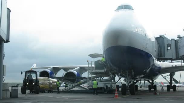 Workers of airport Domodedovo unlade plane working machines take away load — Stock Video