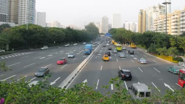 Las hojas verdes están sobre la carretera donde muchos coches — Vídeo de stock