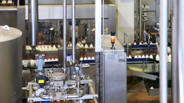 Milk bottles in conveyor belts move and behind automation stamped date of manufacture — Stock Video