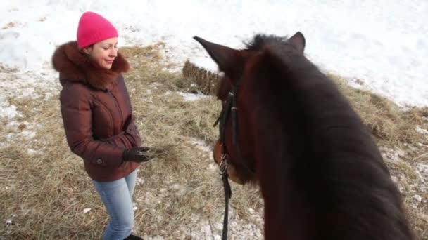 Femme nourrir cheval — Video