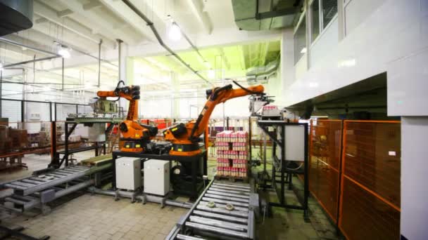 Hydraulic crane automatically takes from conveyor and places packages of plastic bottles with yogurt at creamery — Stock Video