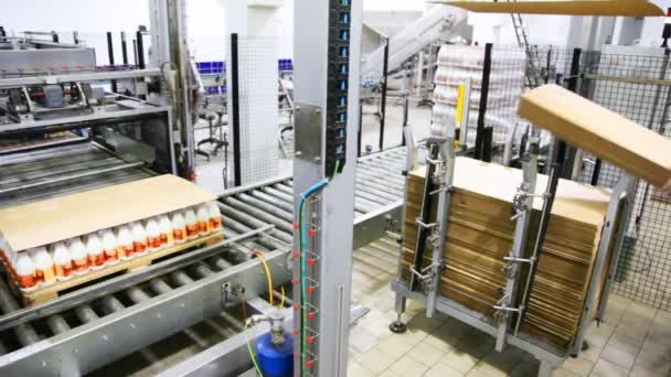 Munkavállaló Farostlemez lapokat helyez rack ipari robotok, a tejüzem palettázó — Stock videók
