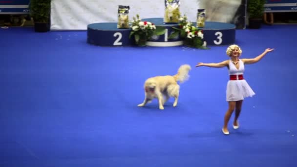 Woman dance with her dog of atlas shepherd breed at International Dog Show Eurasia 2011 — Stock Video