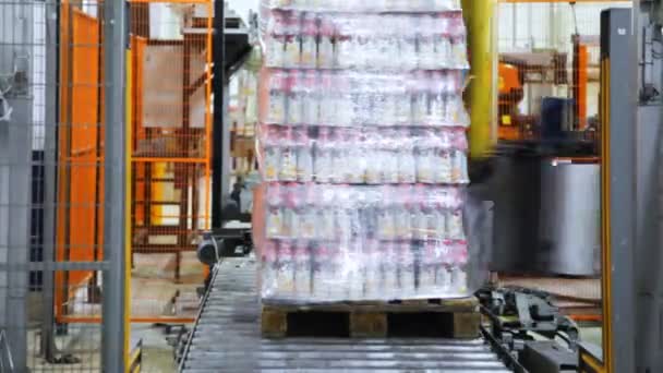 Empacotador automático envolve garrafas de filme stretch de iogurte em paletes — Vídeo de Stock