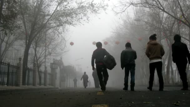 People go along on street shrouded in fog — Stock Video