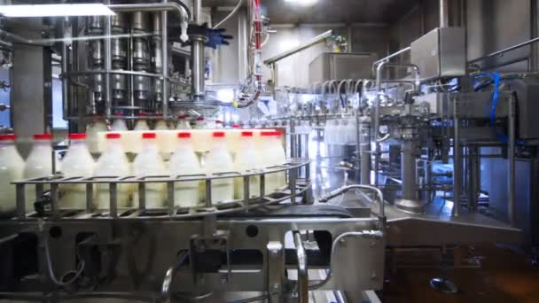 Butelki są myte, suszone, wypełnione mlekiem i zamknąć czapki w fabryce przenośnika — Wideo stockowe