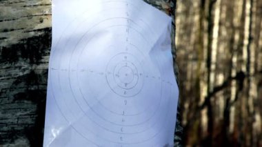 Kağıt birch kök üzerinde çekim amacı kurşun isabet