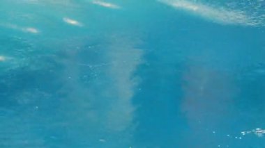 sporcular yarışmalar, zaman atlamalı dalış yapmak.