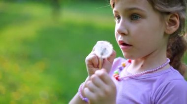 Küçük kız dandelions yeşil çimenlerin üzerinde oynamaktan kafiye okur