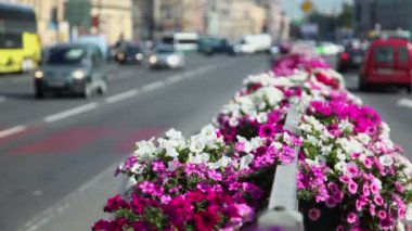 Şehir trafiği olan yolda şerit bölme, Çiçeklik