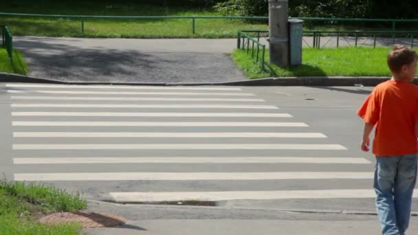 Menino olha ao redor e cruza estrada por zebra — Vídeo de Stock