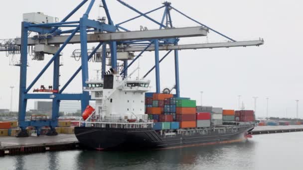 Große Kräne und Lastkähne mit Containern an Bord im Seehafen — Stockvideo