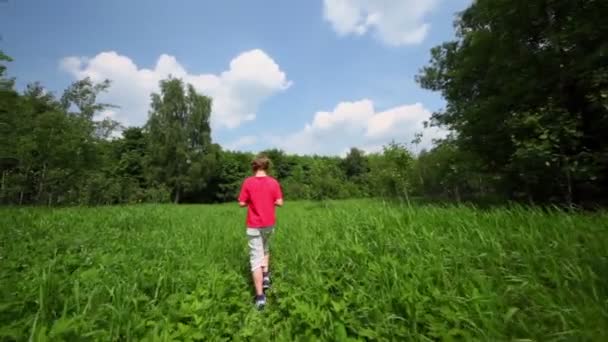 Маленький хлопчик гуляє по траві, вид ззаду — стокове відео