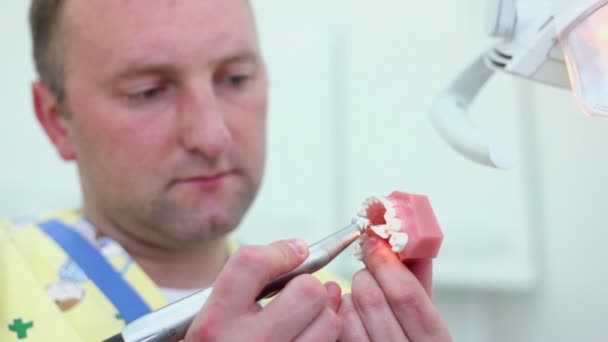 Dentist polishes teeth of jaw in his hand at dental surgery — Stock Video