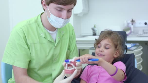 Zubař má čelist a dívka čistí zuby kartáčem