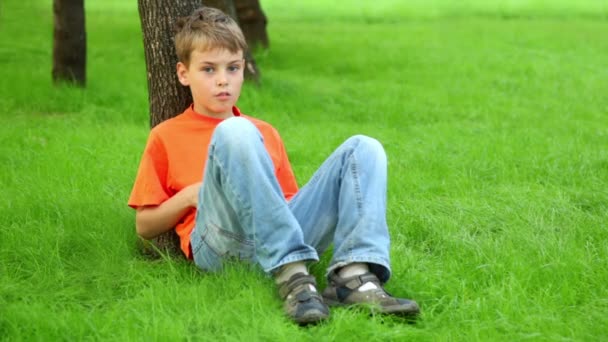 Маленький мальчик сидит на траве и прислоняется к дереву в летний день — стоковое видео