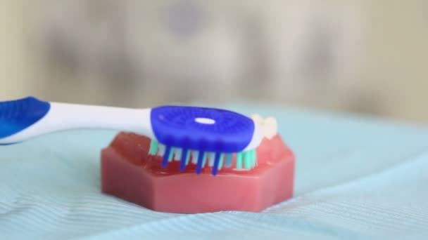 Teeth brush cleans bottom half of jaw on table in dental surgery — Stock Video