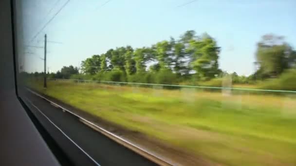 Plants and pillars with wires pass by during train trip — Stock Video