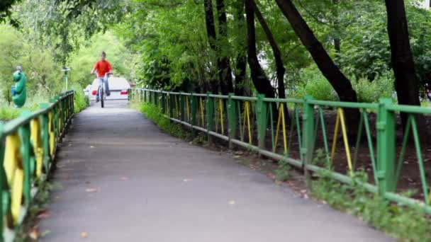 Pequeño niño monta en bicicleta por el camino de asfalto bajo los árboles — Vídeos de Stock